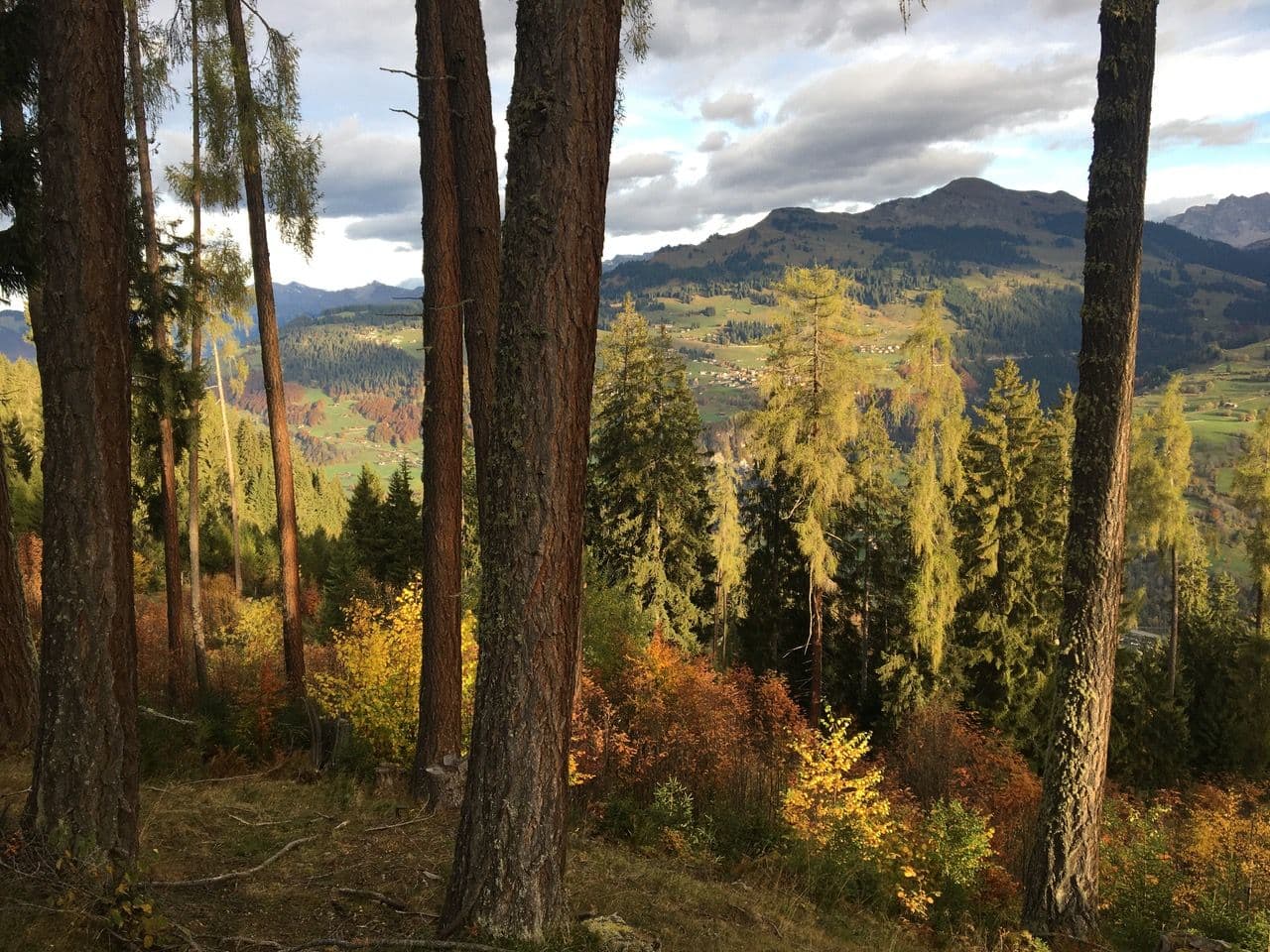 Bild des Prättigau-Davos Privatwald