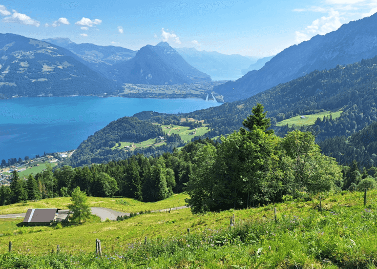 Meadow with view to lake in the mountains