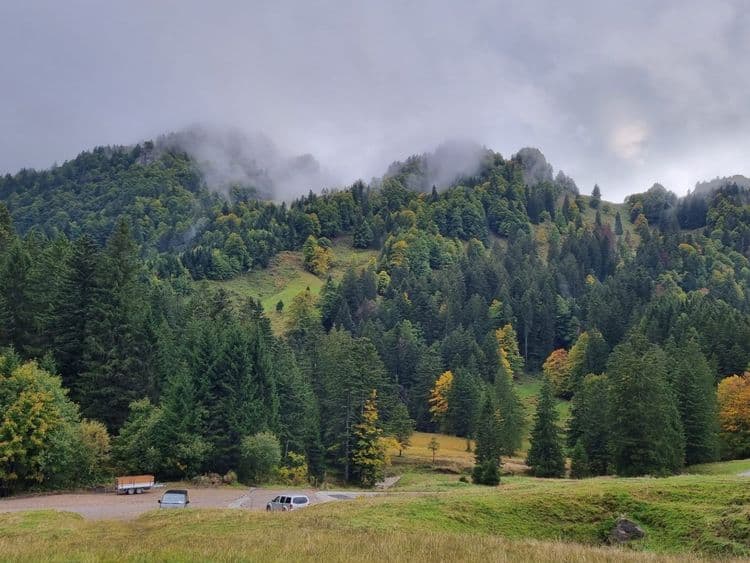 Bild des Waldreservat Wengital-Regulastein Waldes