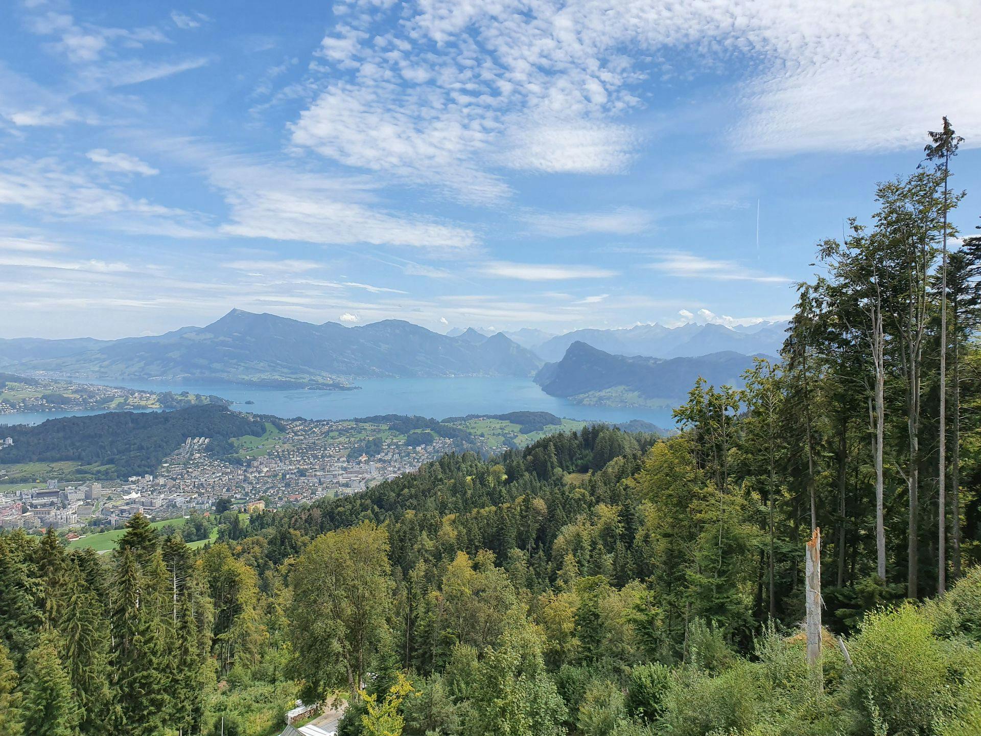 Bild des Luzern-Kriens-Pilatus Waldes