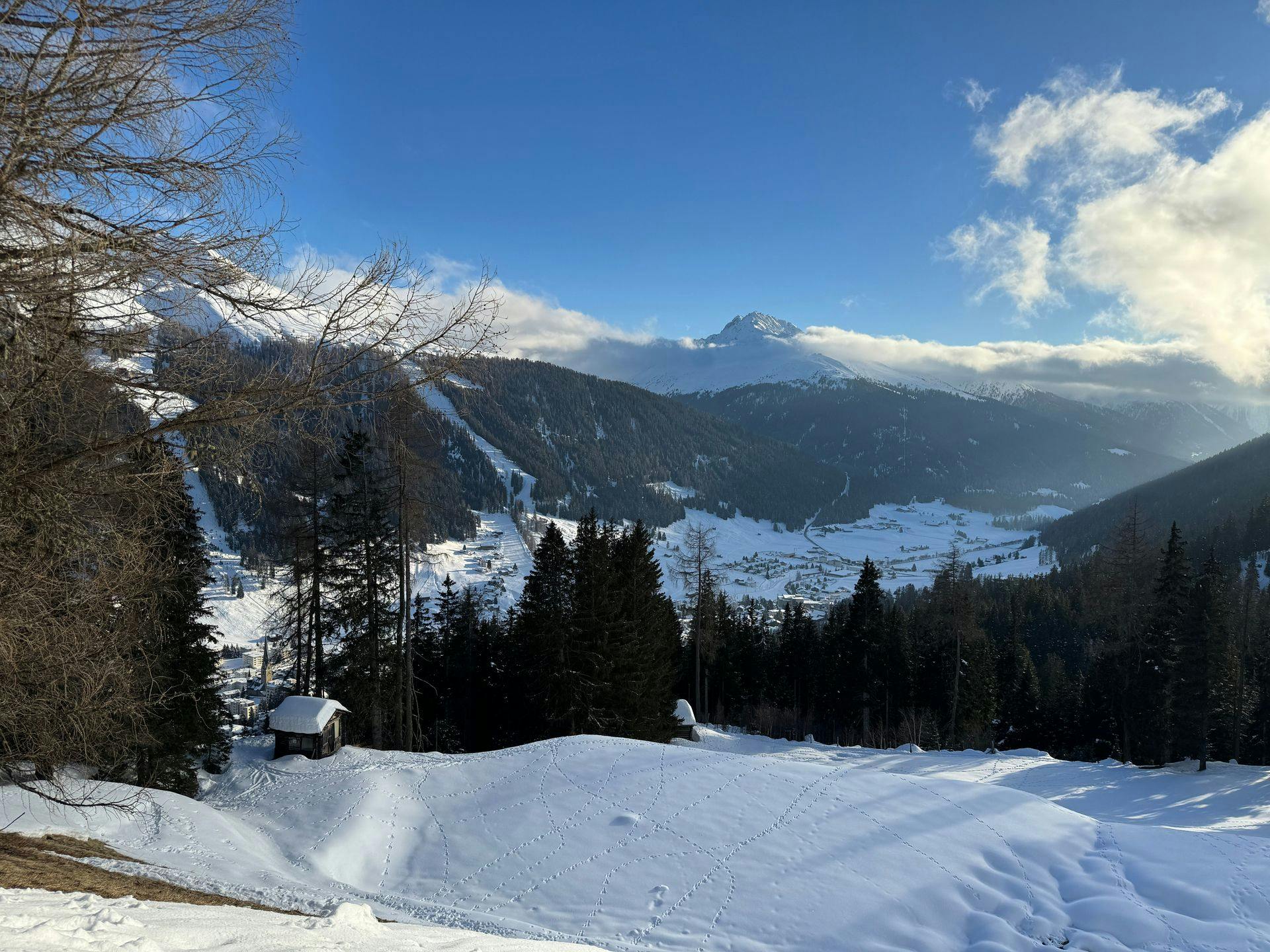 Bild der Davoser Landschaft